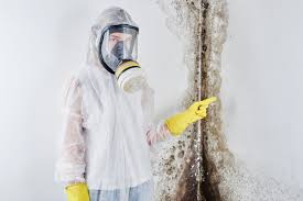 Best Environmental Consulting for Mold Prevention  in Wagner, SD